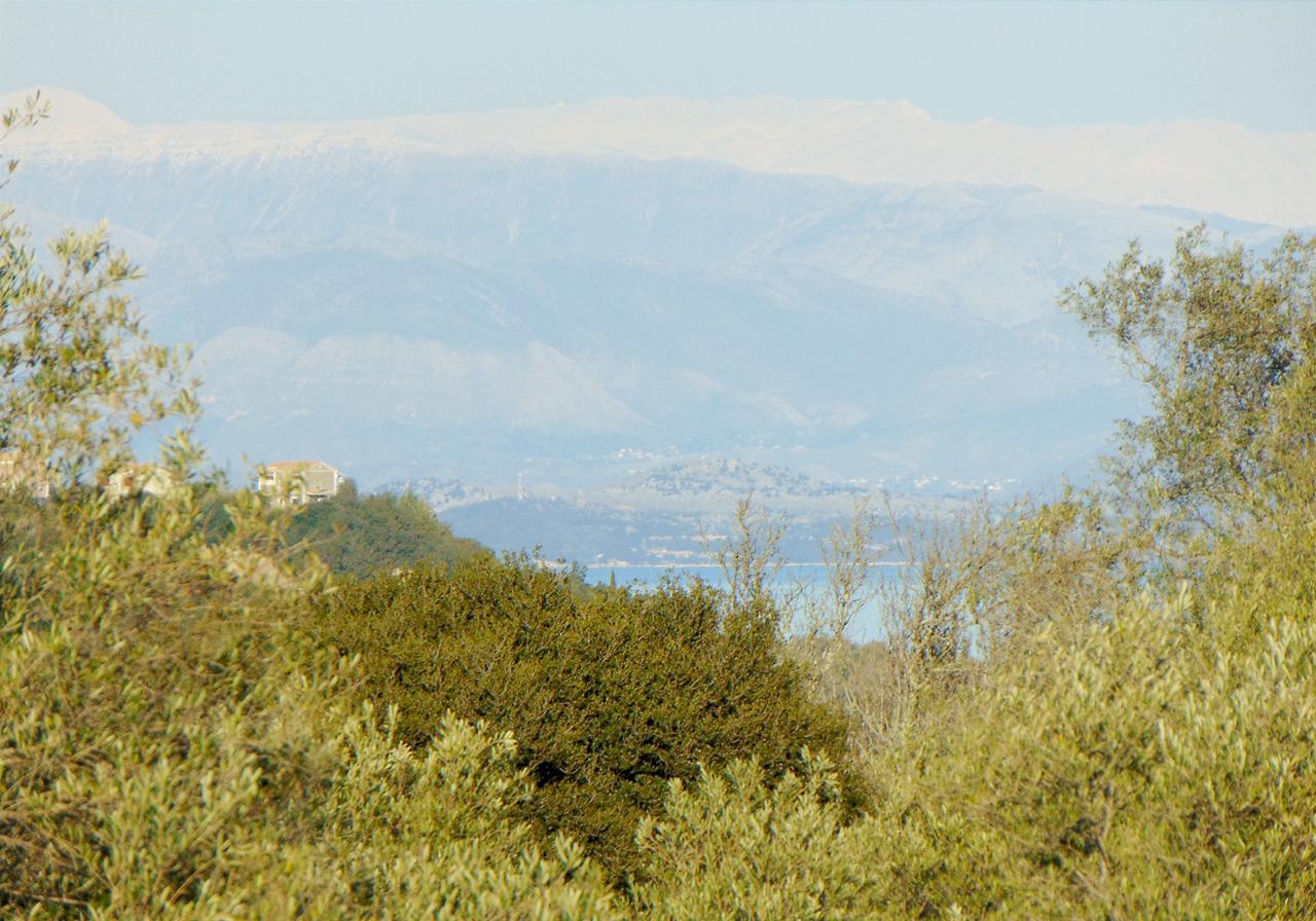 Classical Villa Anta Agios Ioannis  Room photo